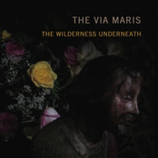 Brokenhearted Day by The Via Maris