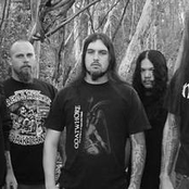 disgorge