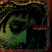XecsplosioN