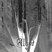 Misery loves Solitude