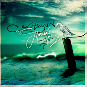 Прибой грёз