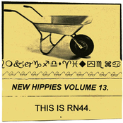New Hippies Volume 13