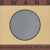 Soundtracks for the Blind (copper disc) Album Picture