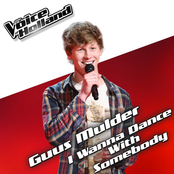 I Wanna Dance With Somebody