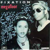 Fixation