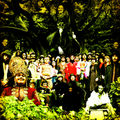 Korean Dogwood by Devendra Banhart