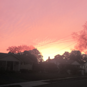 i talked shit about a pretty sunset but then isaac brock sued me for copyright infringement