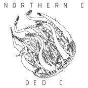 ded c