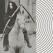 Summer Labium c38 (Early Mourning)