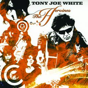 Wild Wolf Calling Me by Tony Joe White