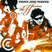 Playa Del Carmen Nights by Tony Joe White