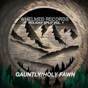 Whelmed Records Holiday Split Vol.1