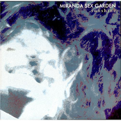 Muff Diving Size Queen by Miranda Sex Garden