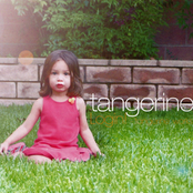 Login! -tangerine. works-