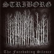 Interval Iii by Striborg