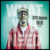 DJ Spinn: TEKLIFE Vol.2: What You Need