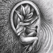 III: Doom in Bloom (disc 2: Allies)