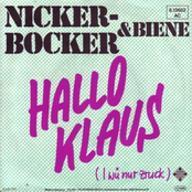 nickerbocker & biene