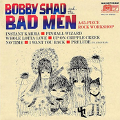 bobby shad and the bad men