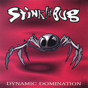 Stink Bug: Dynamic Domination