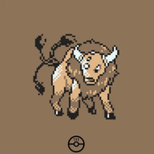 TAUROS!