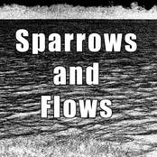 Sparrows And Flows