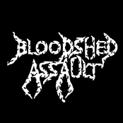 bloodshed assault