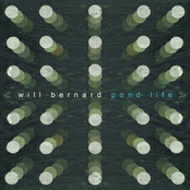 Pond Life