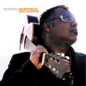 Incognito: Adventures In Black Sunshine