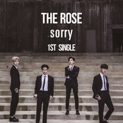 The Rose: Sorry