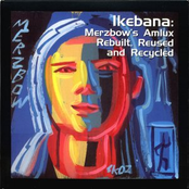 ikebana: merzbow's amlux rebuilt, reused & recycled