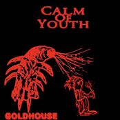 Calm of Youth