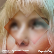 Vision Blurred - Single