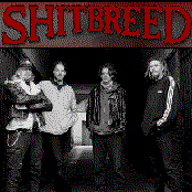 Shitbreed