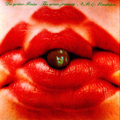 Die Grune Reise (The Green Journey)