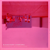 DARKWAVE INTERNACIONAL