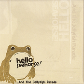 Cassette by Hello Seahorse!