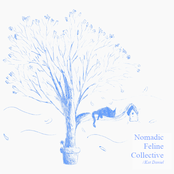 Nomadic Feline Collective