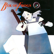 Box of Frogs