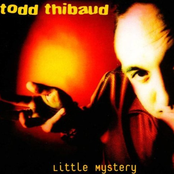 Total Stranger by Todd Thibaud