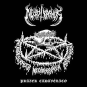 Sanguinário Obscuro by Necrotrashers