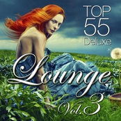 Lounge Top 55 Vol.3
