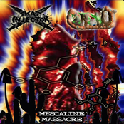 Mescaline Massacre