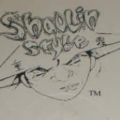 shaolin style