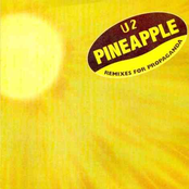Pineapple: Remixes for Propaganda