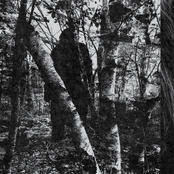 There is something evil out there.