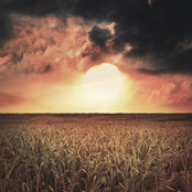 Microbiology Mixtape