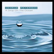 A Drop on the Ocean