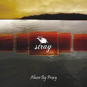 Fade Into You by Stray