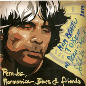Harmonica, Blues and Friends